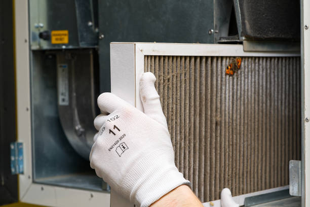 Best Professional Duct Cleaning Services  in Hampton, IA