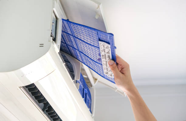 Air Duct Mold Removal in Hampton, IA